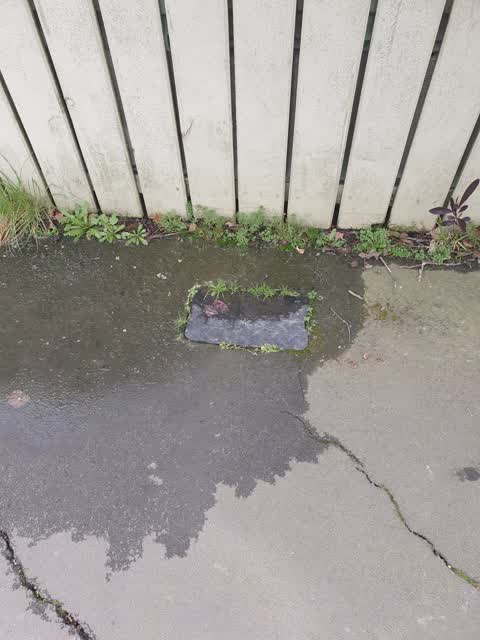 Water Leak, a report photo