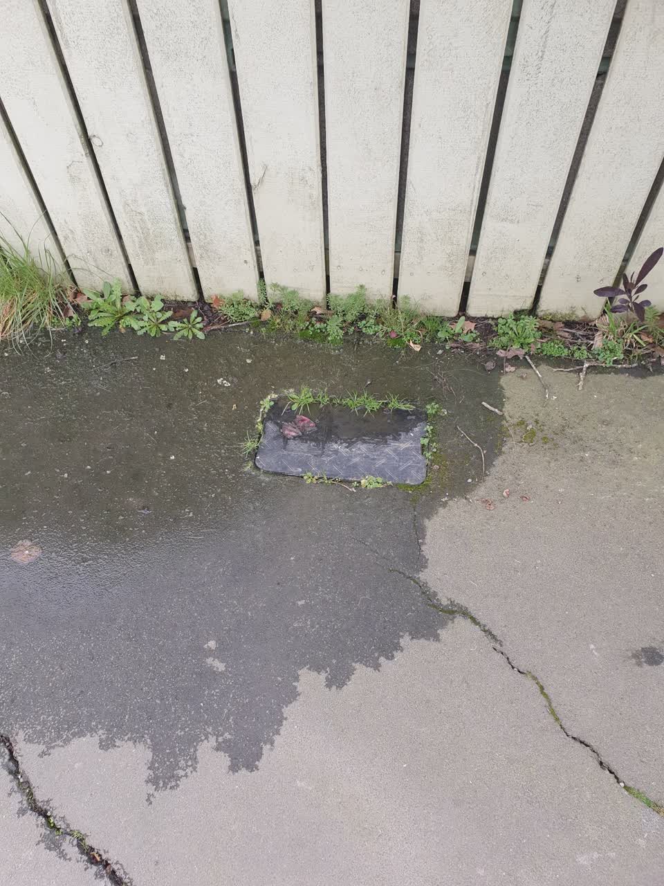 The photograph attached to this water leak report
