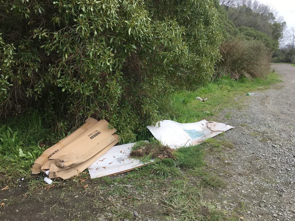 The photograph attached to this rubbish/recycling report