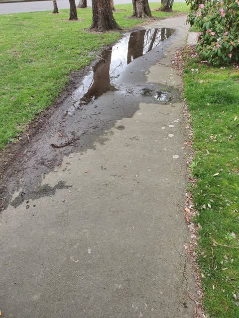 Water Leak, a report photo