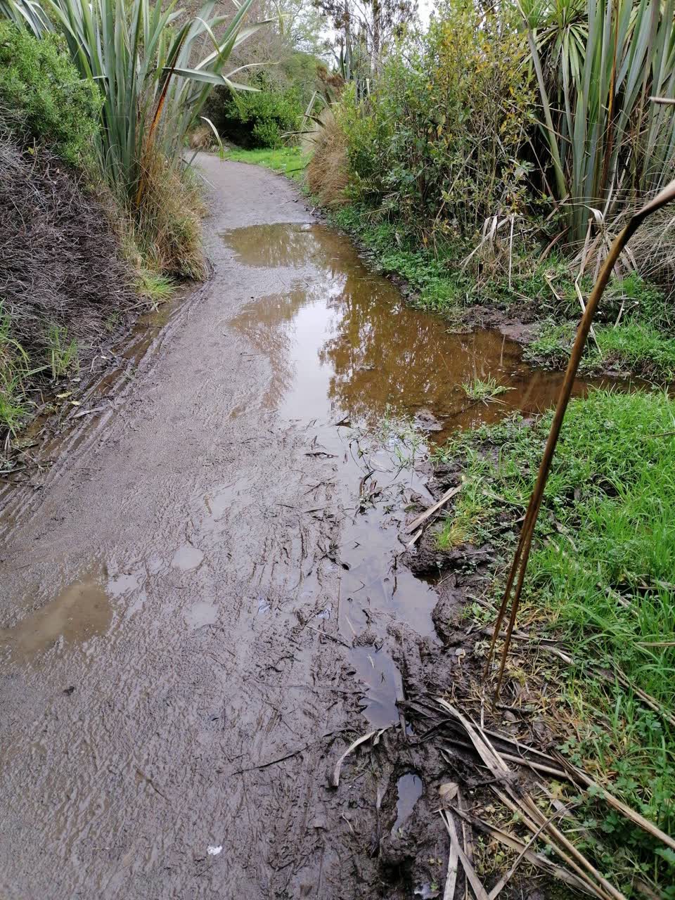 The photograph attached to this parks report
