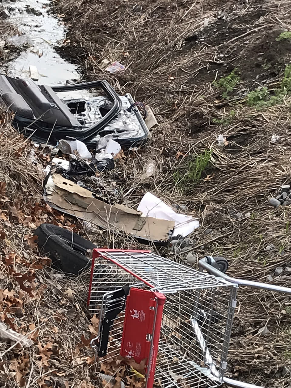 The photograph attached to this rubbish/recycling report
