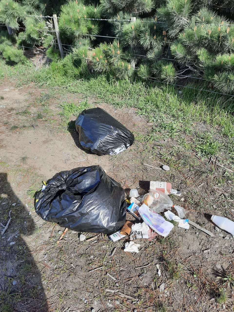 The photograph attached to this rubbish/recycling report