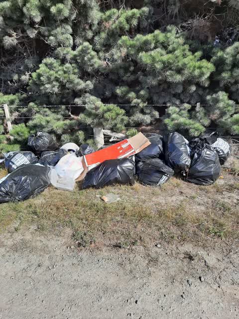 Rubbish/Recycling, a report photo