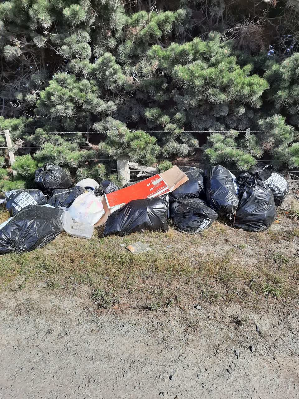 The photograph attached to this rubbish/recycling report