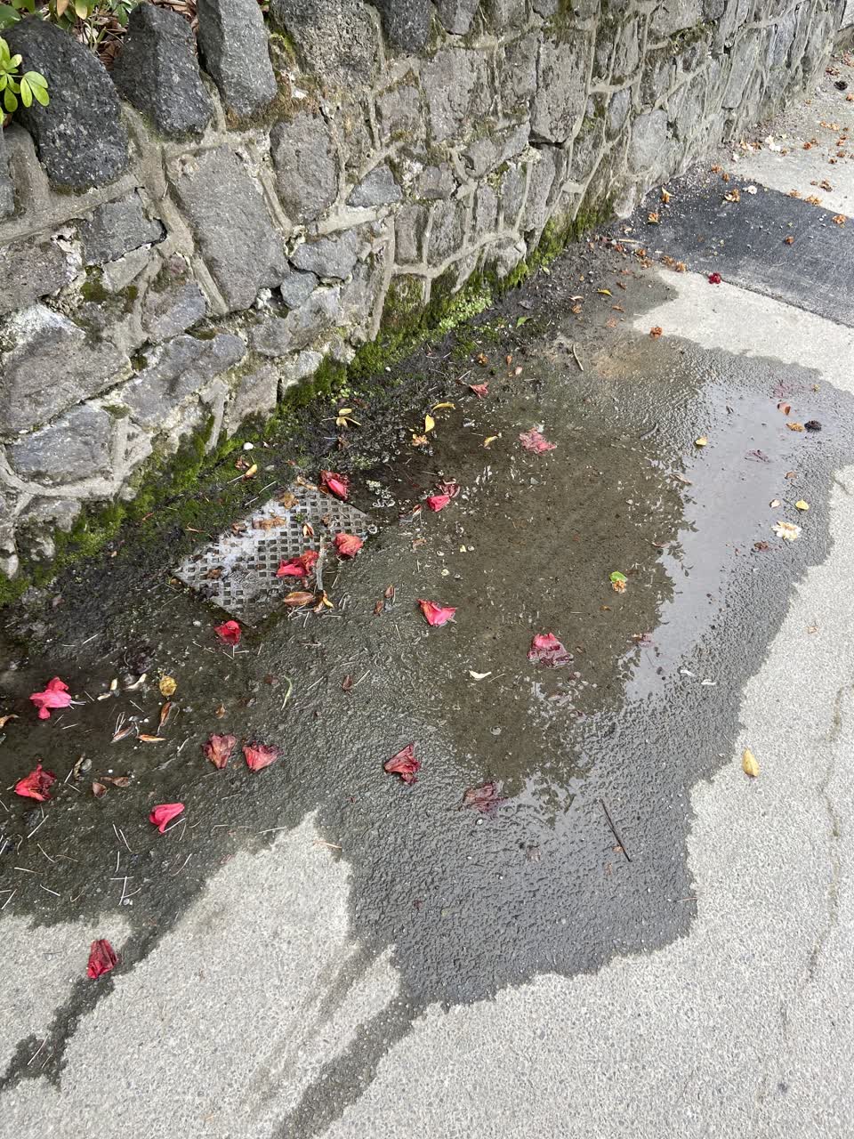 The photograph attached to this water leak report
