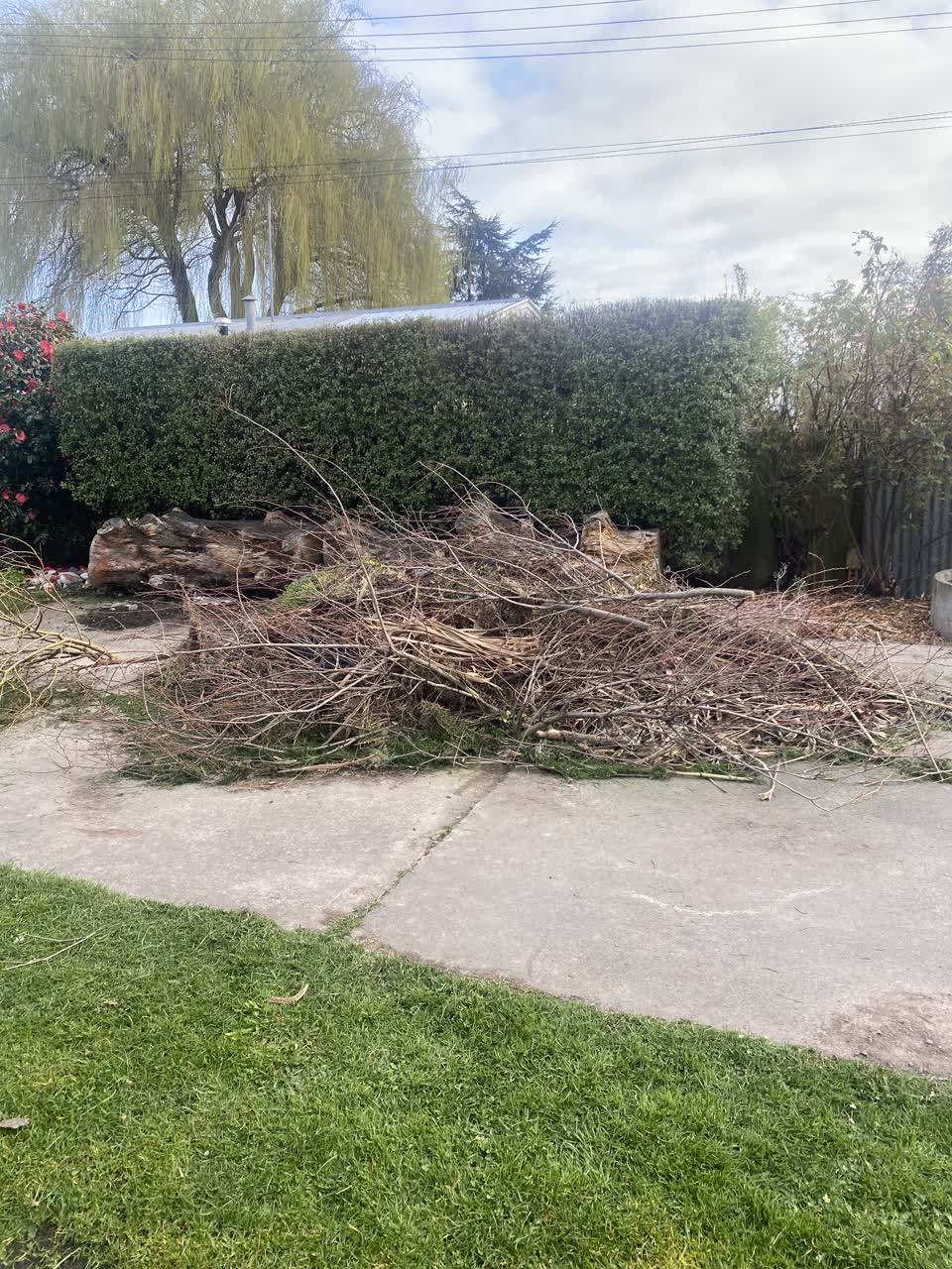 The photograph attached to this parks report