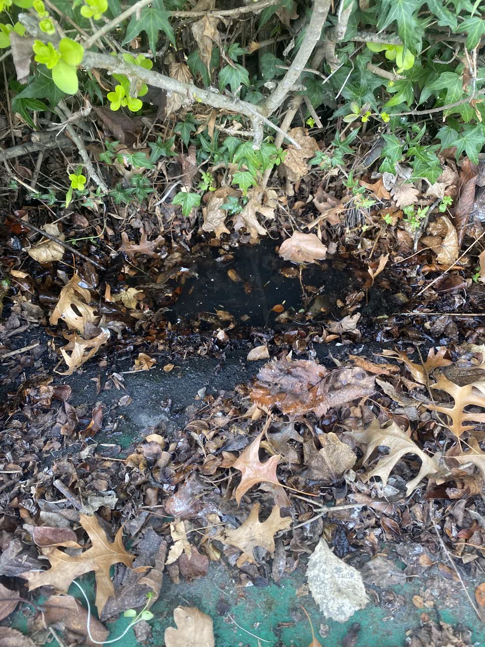 The photograph attached to this water leak report