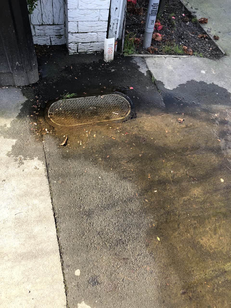 The photograph attached to this water leak report