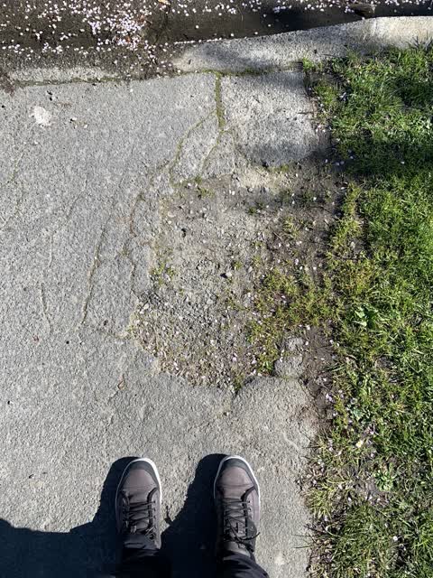 Roading/Streets, a report photo