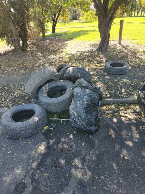 Rubbish/Recycling, a report photo