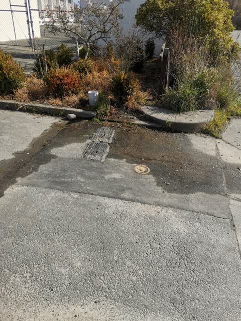 Water Leak, a report photo