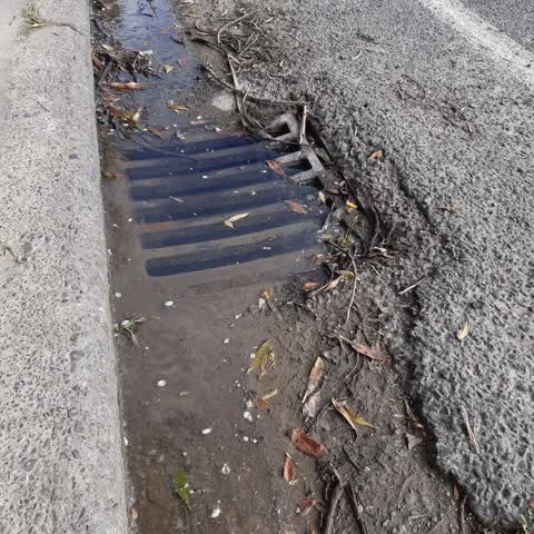 Wastewater/Stormwater, a report photo