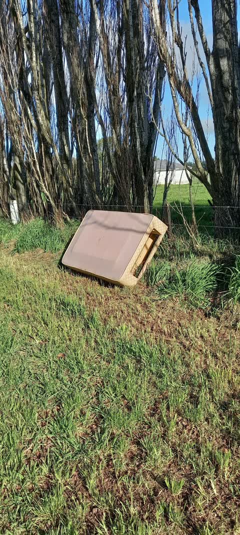 General Request, a report photo