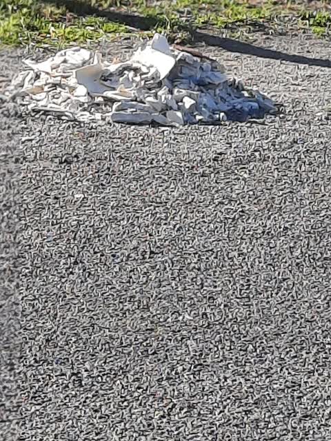 Rubbish/Recycling, a report photo