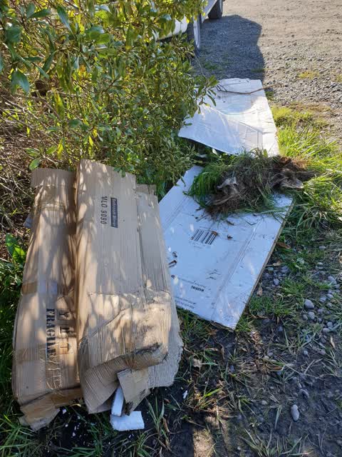 Rubbish/Recycling — a report photo