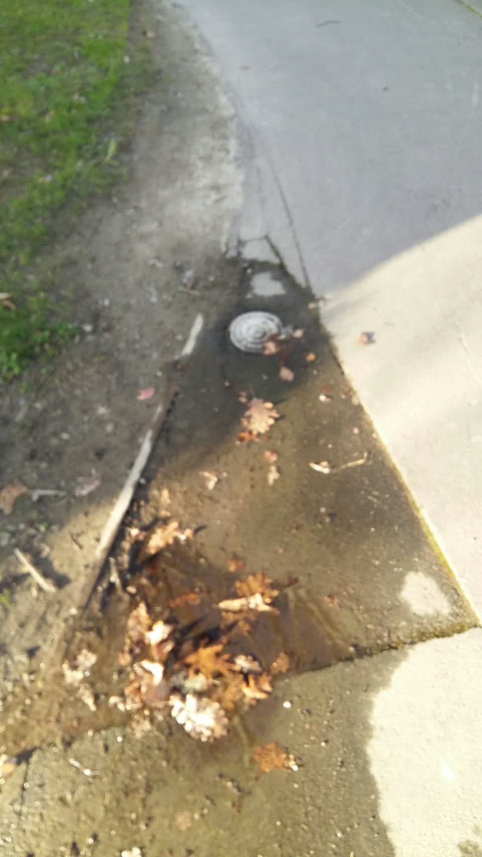 The photograph attached to this water leak report
