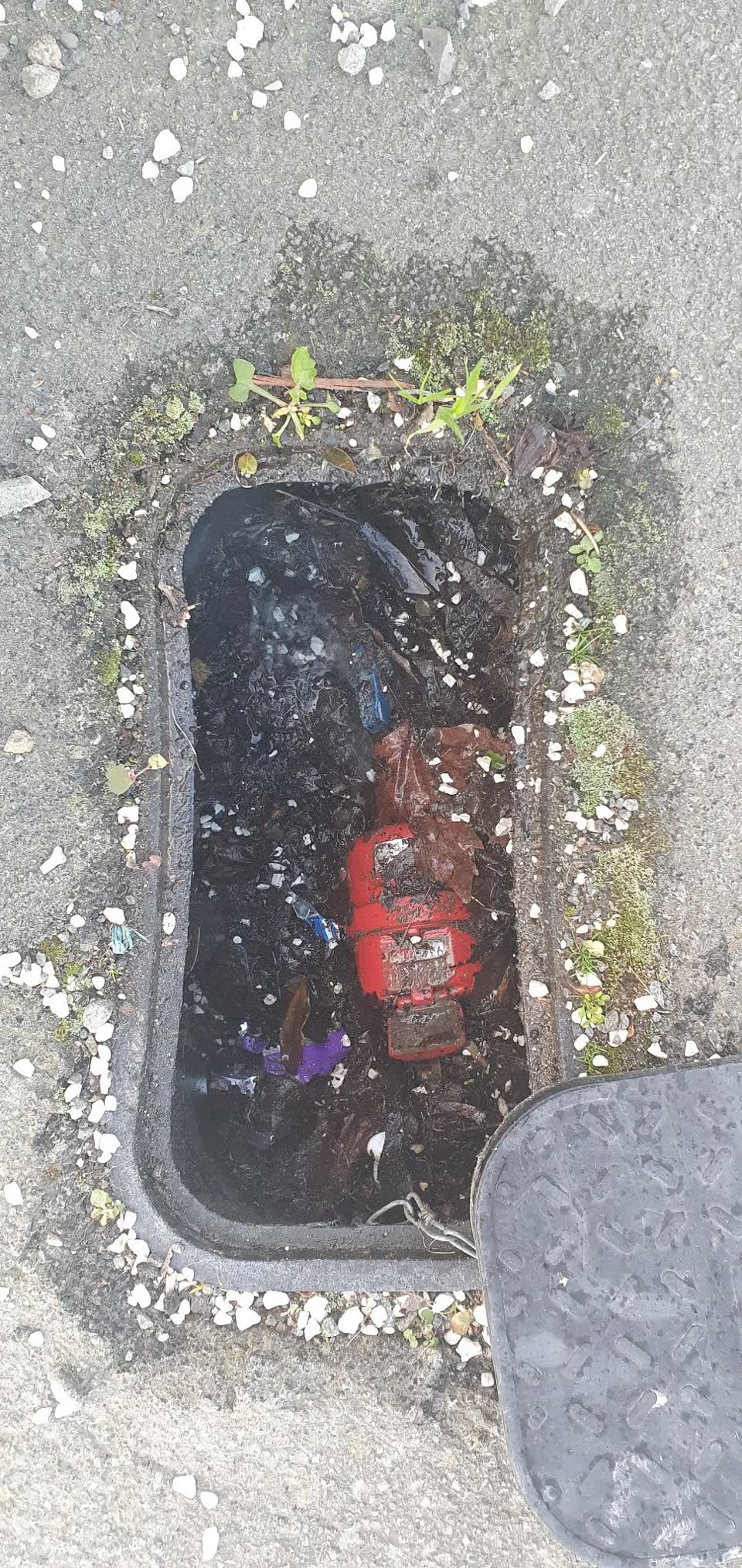 The photograph attached to this water leak report