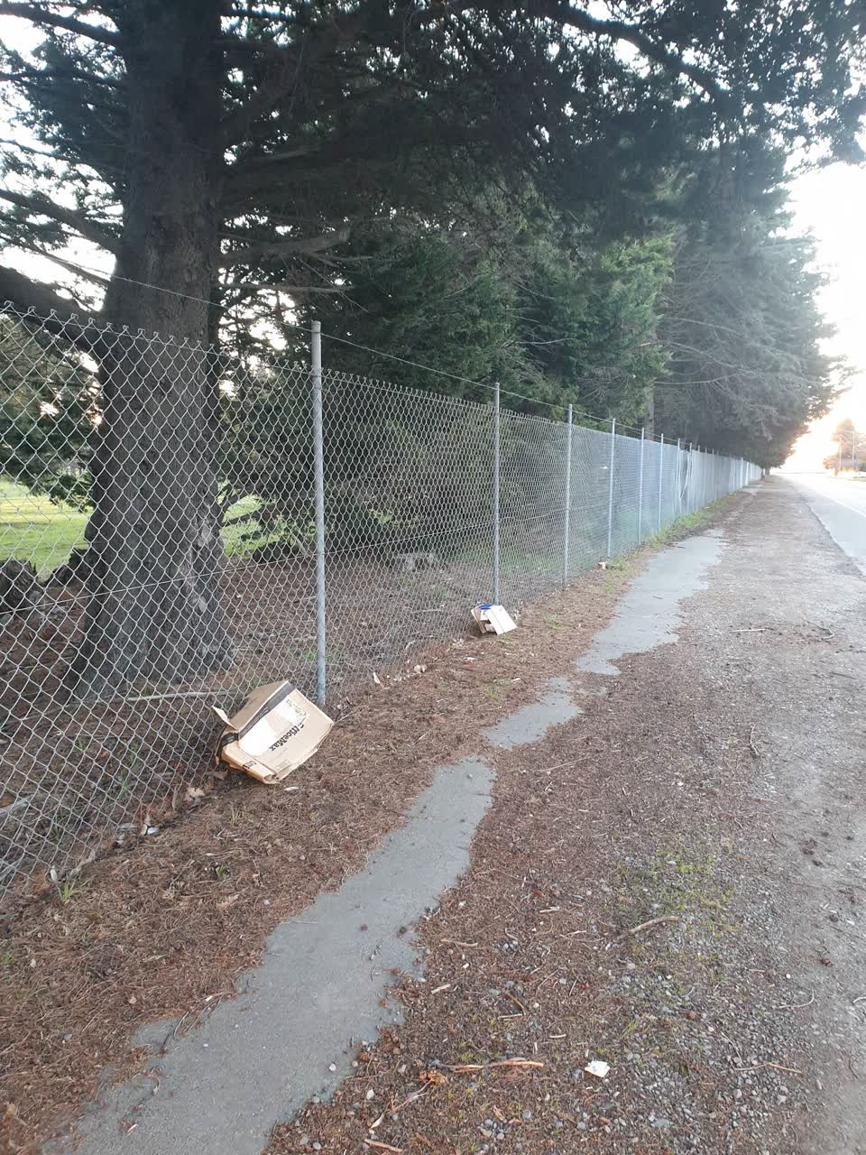 The photograph attached to this rubbish/recycling report