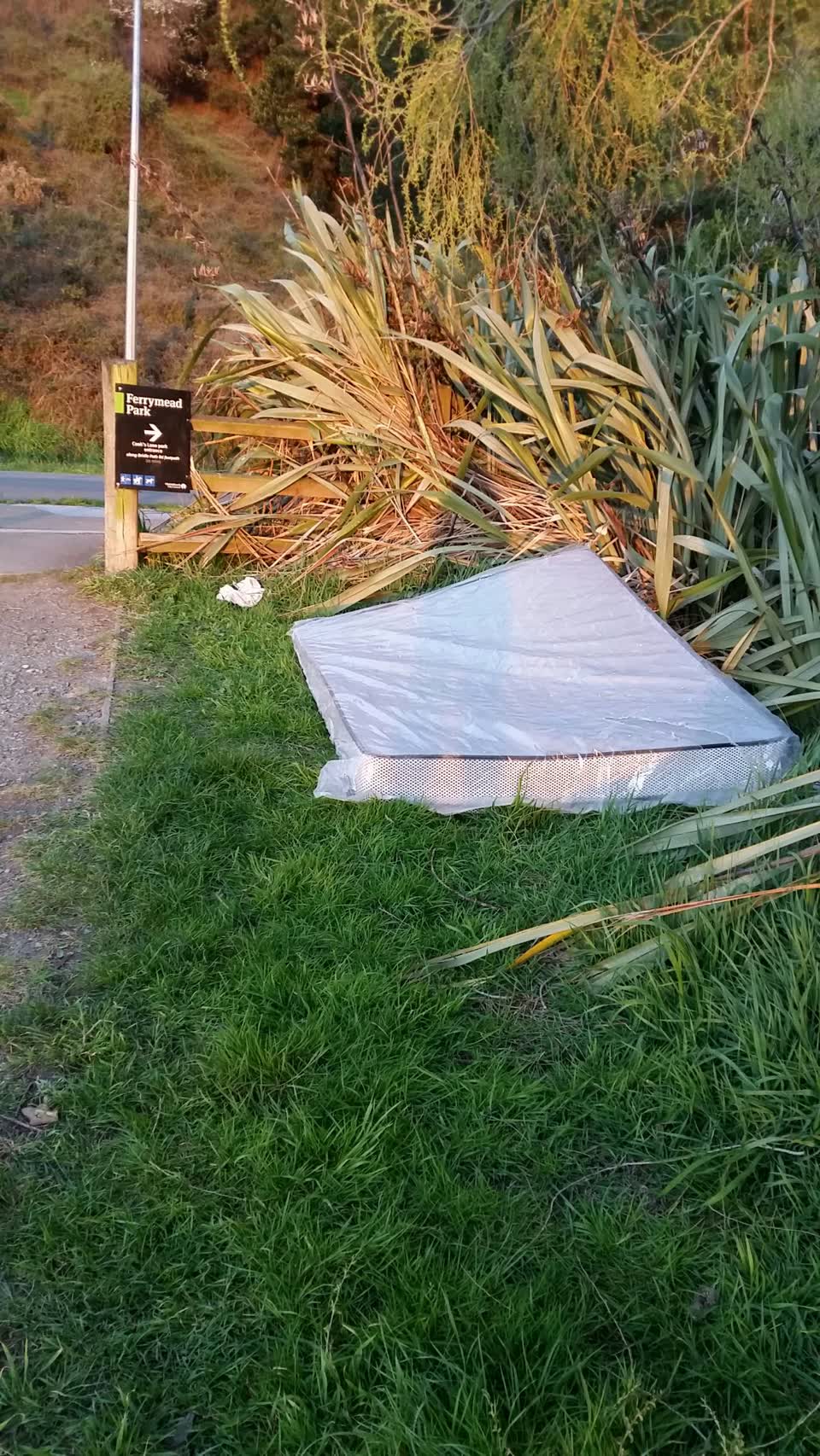 The photograph attached to this rubbish/recycling report