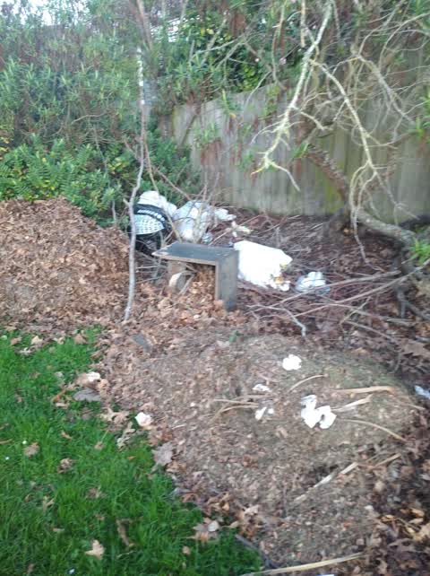 Rubbish/Recycling, a report photo