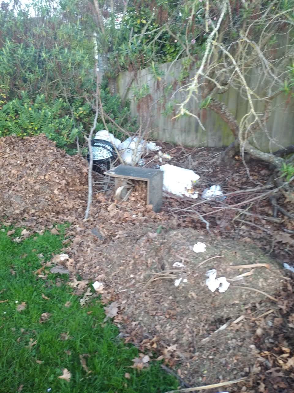 The photograph attached to this rubbish/recycling report