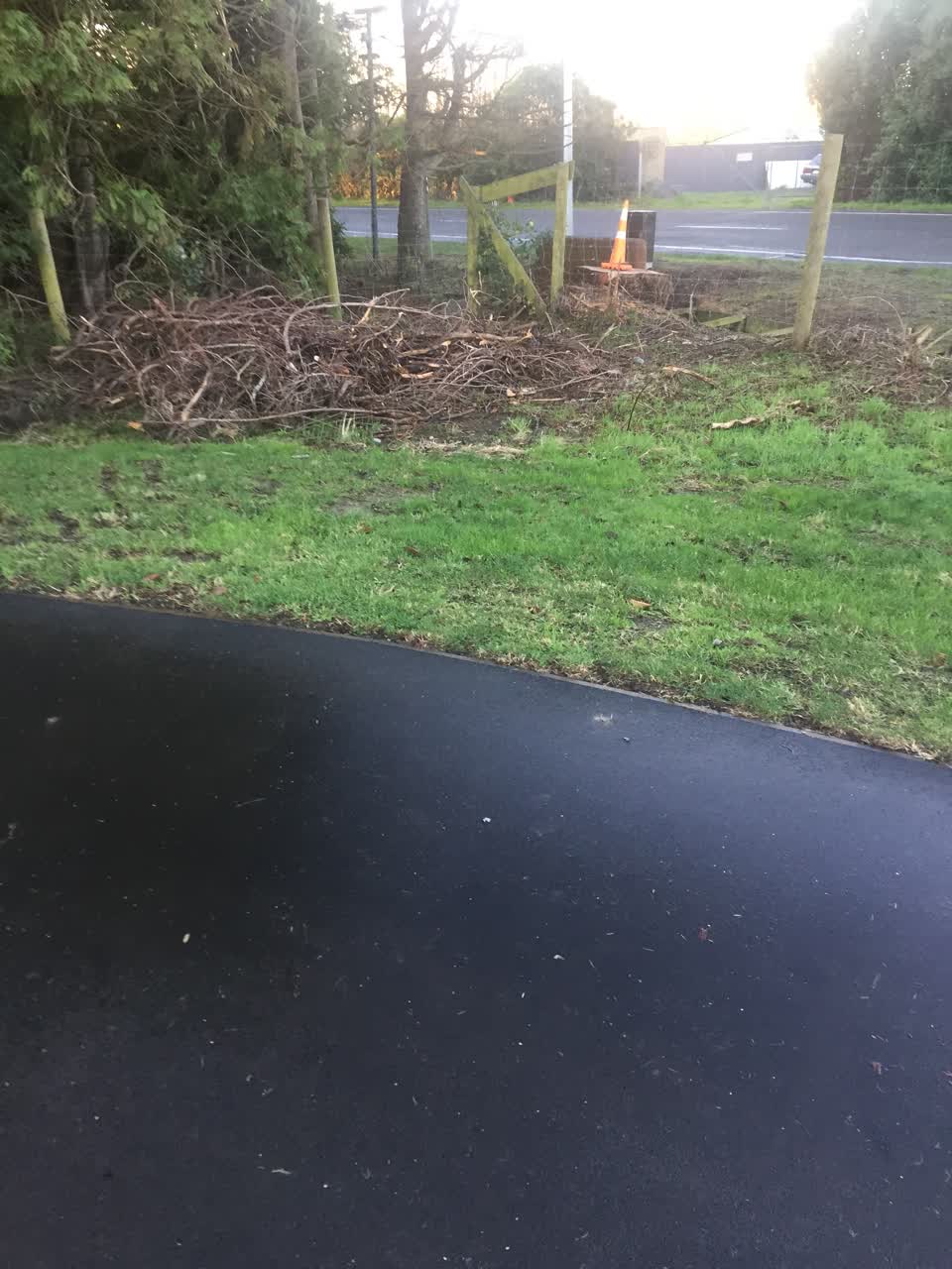 The photograph attached to this parks report