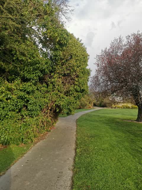 Parks, a report photo