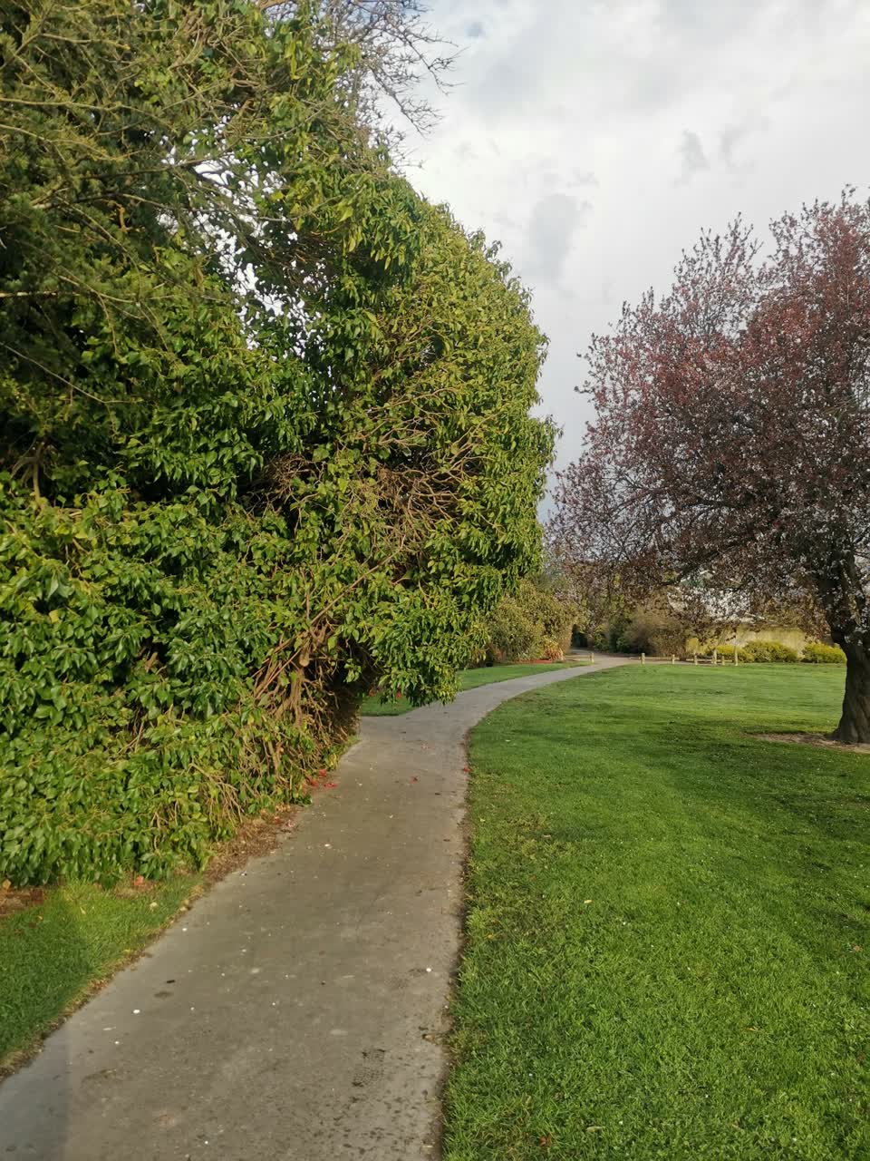 The photograph attached to this parks report