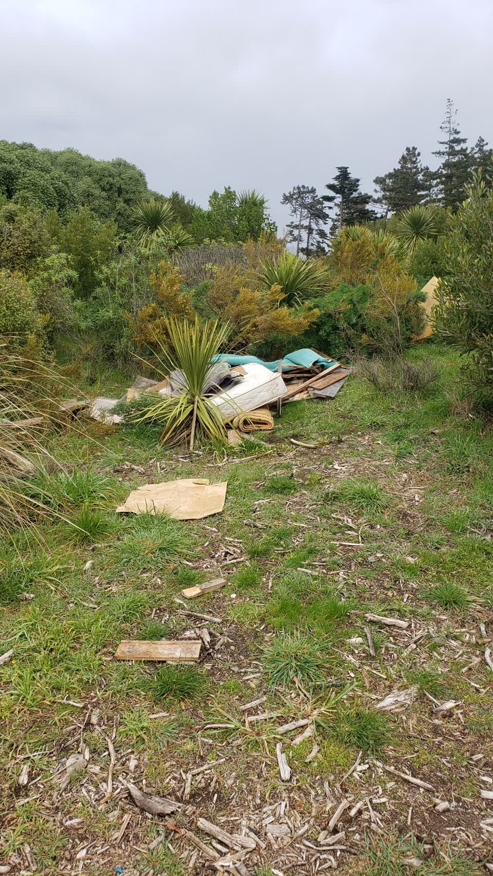 The photograph attached to this parks report