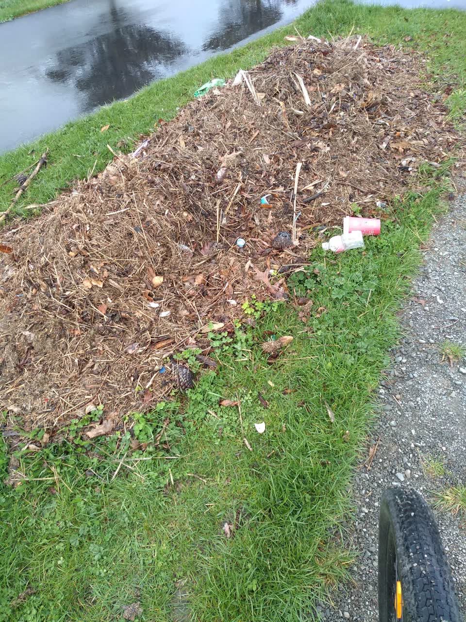 The photograph attached to this rubbish/recycling report