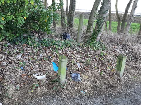 Rubbish/Recycling, a report photo