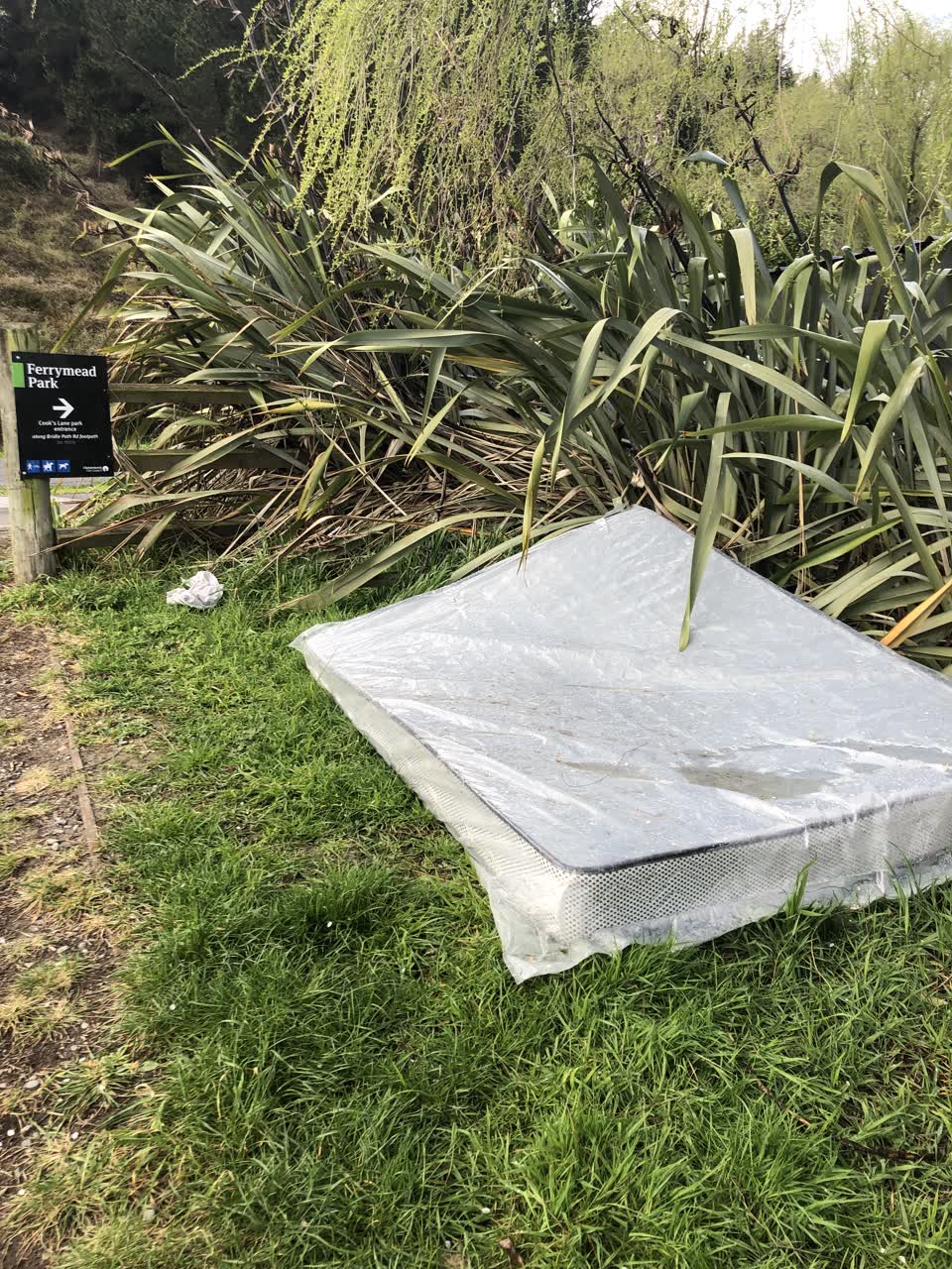 The photograph attached to this rubbish/recycling report