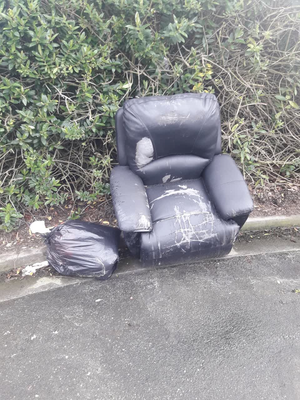 The photograph attached to this rubbish/recycling report