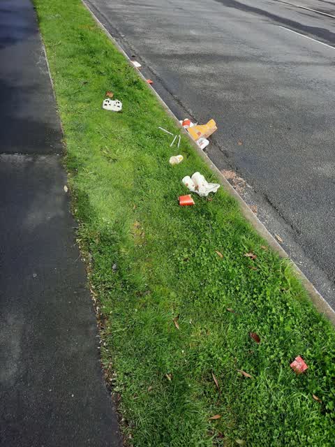 Rubbish/Recycling, a report photo