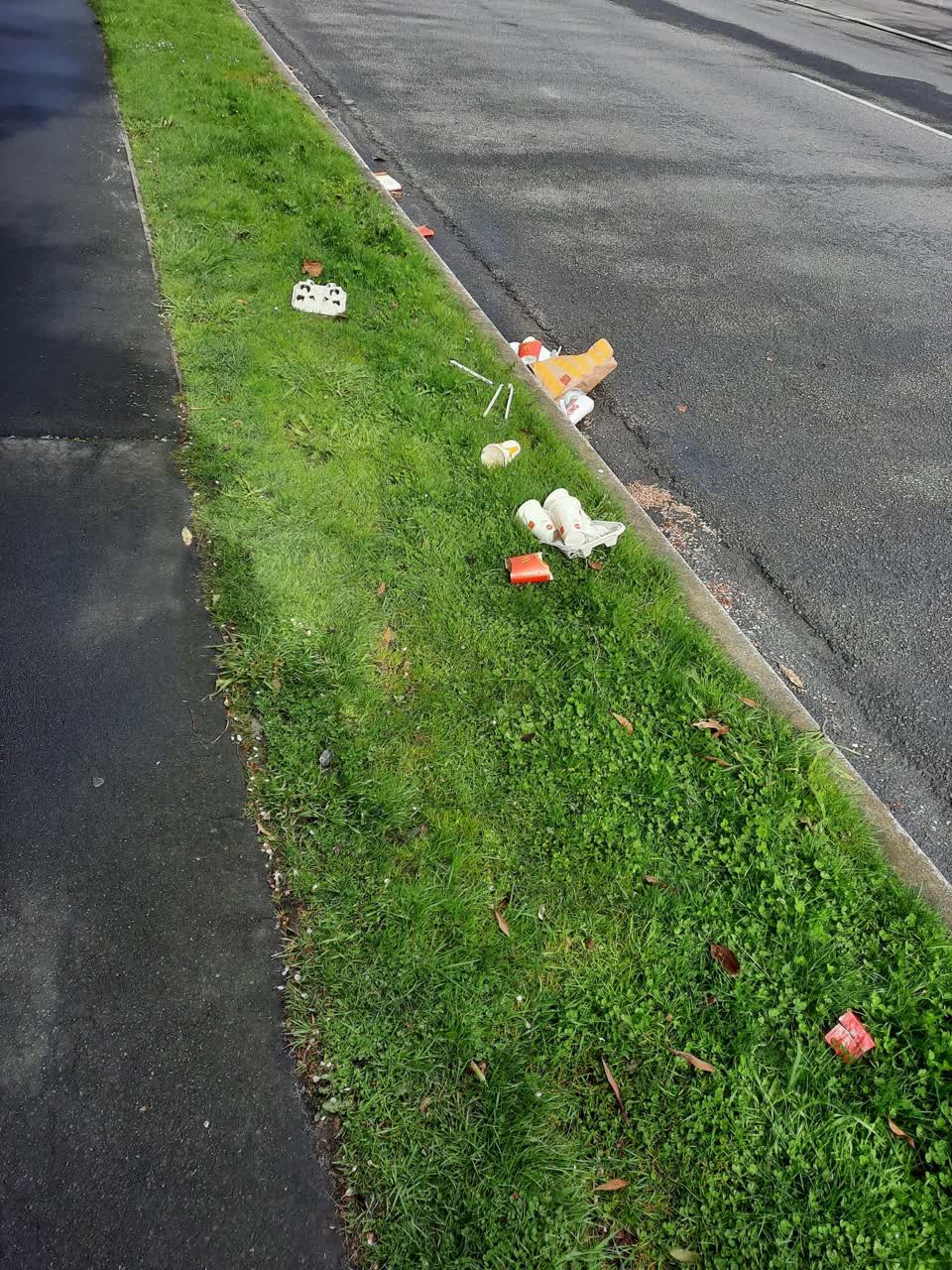 The photograph attached to this rubbish/recycling report