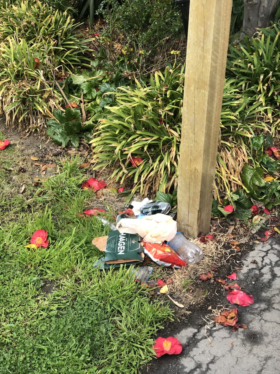 The photograph attached to this parks report