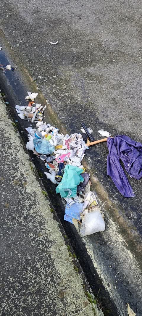 Rubbish/Recycling, a report photo