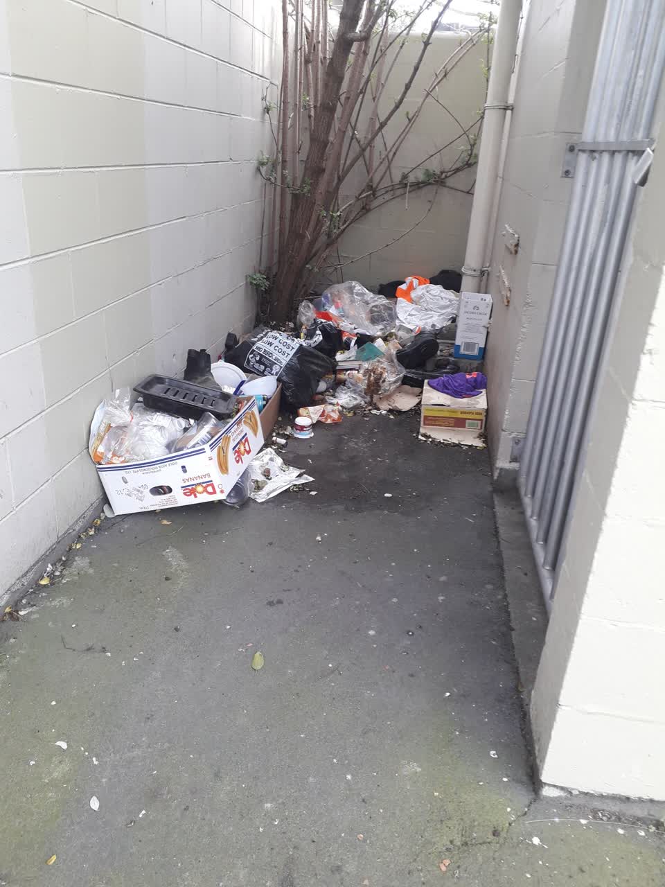 The photograph attached to this rubbish/recycling report