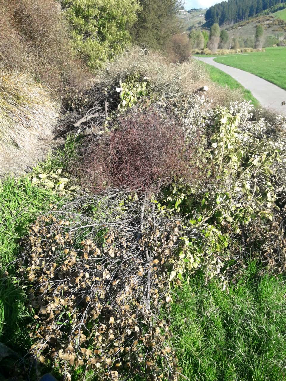 The photograph attached to this parks report