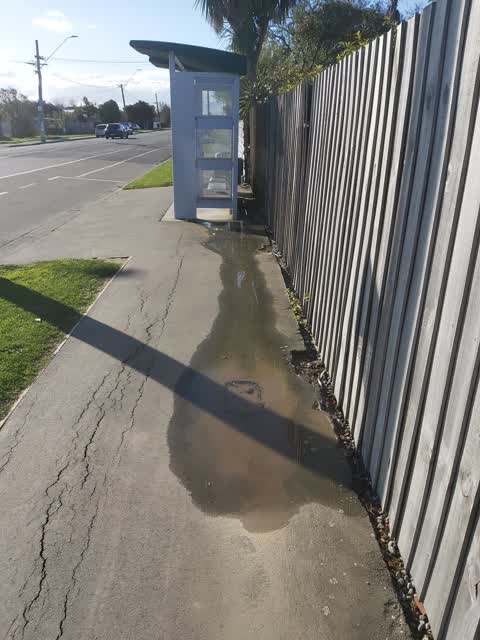 Water Leak, a report photo