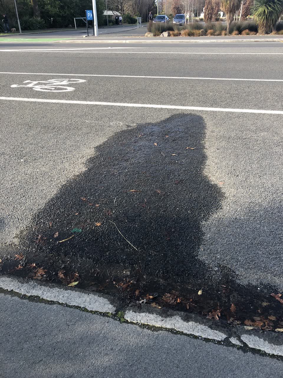The photograph attached to this water leak report
