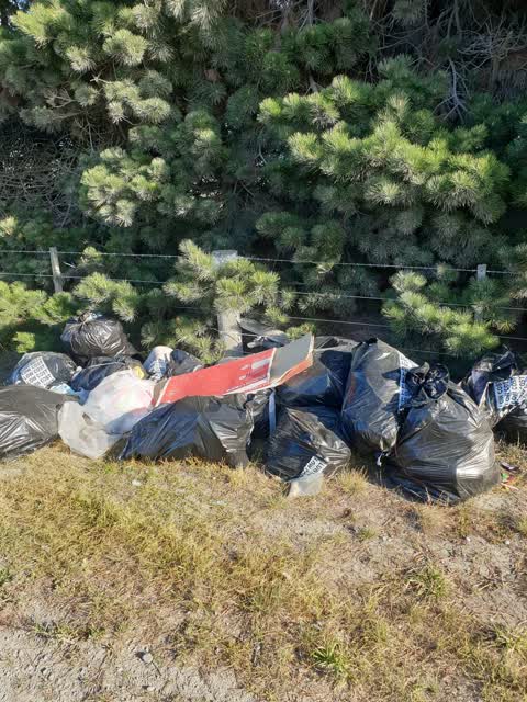 Rubbish/Recycling, a report photo