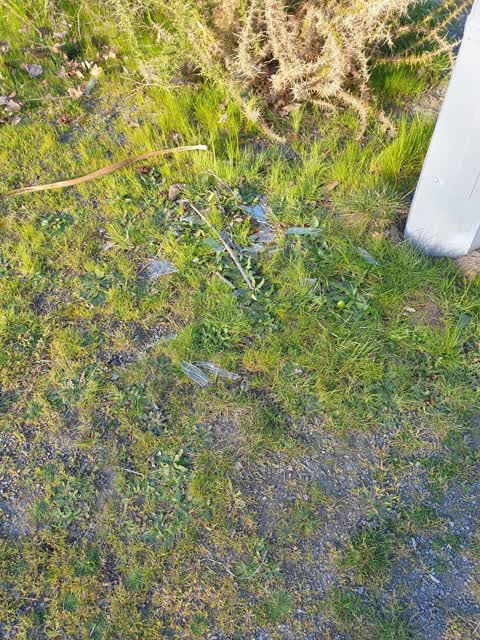 Rubbish/Recycling — a report photo