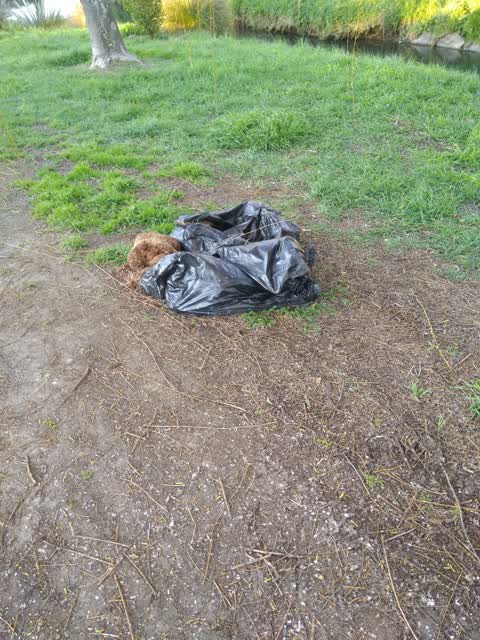 Rubbish/Recycling, a report photo