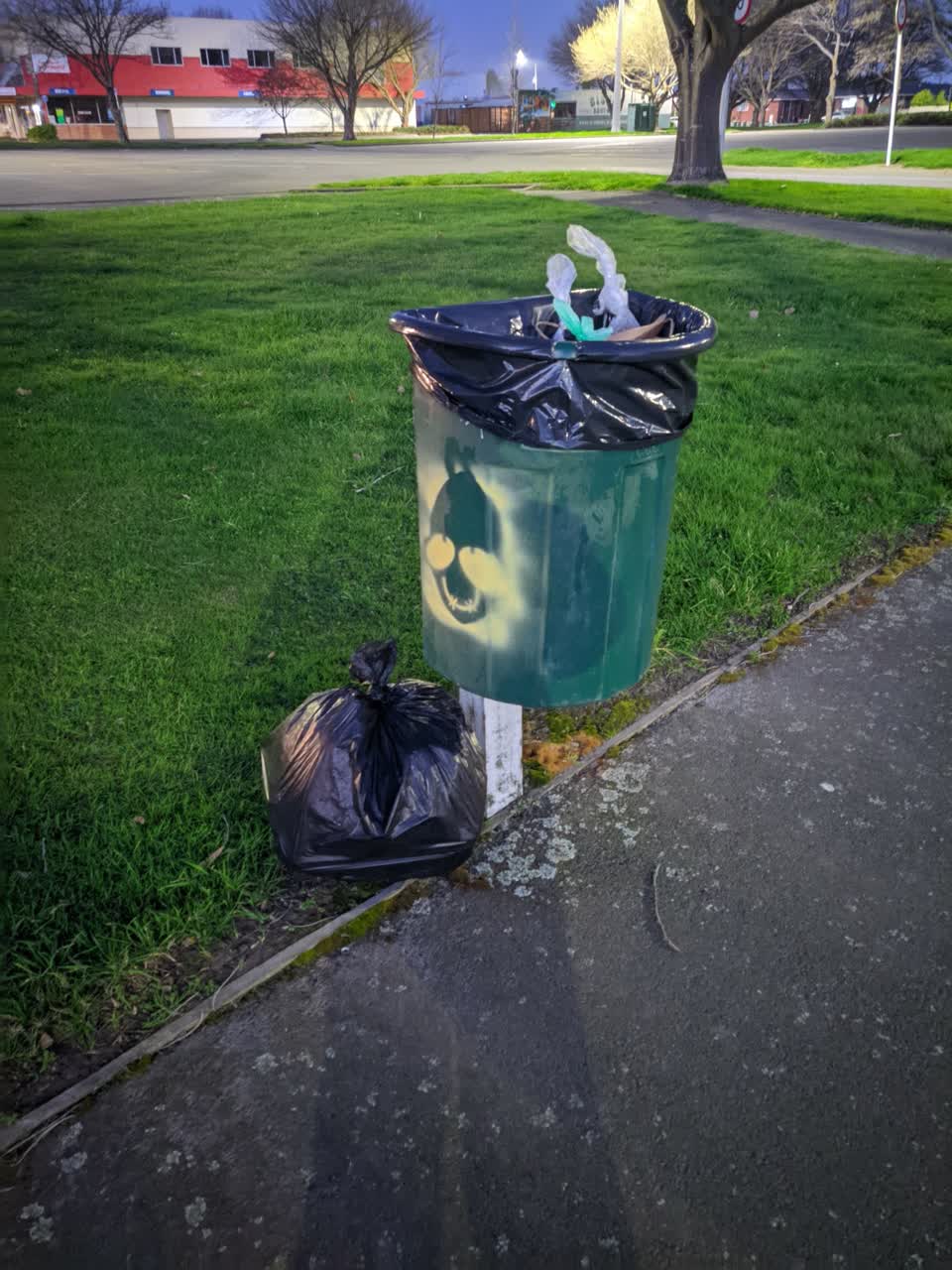 The photograph attached to this rubbish/recycling report