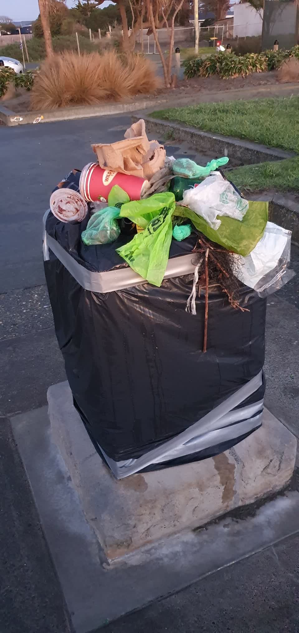 The photograph attached to this rubbish/recycling report