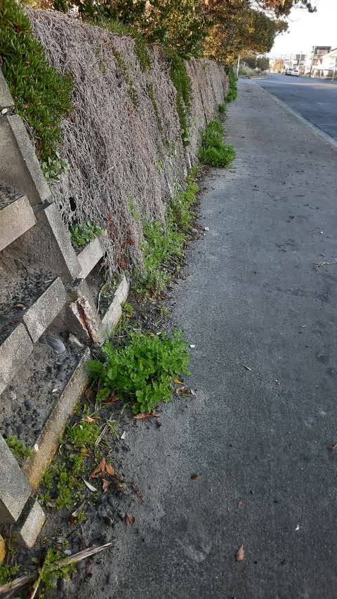 Roading/Streets — a report photo