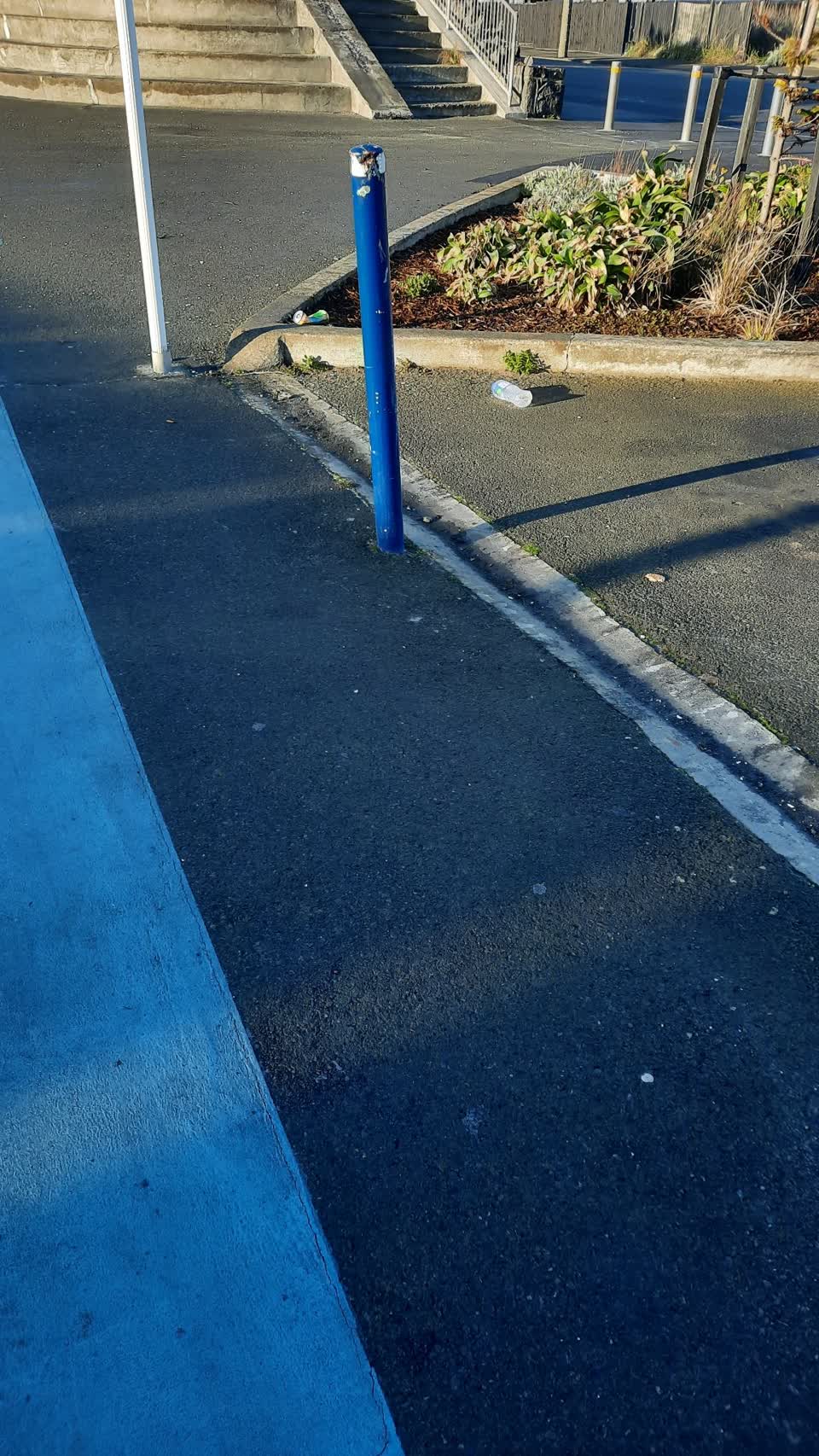 The photograph attached to this parks report