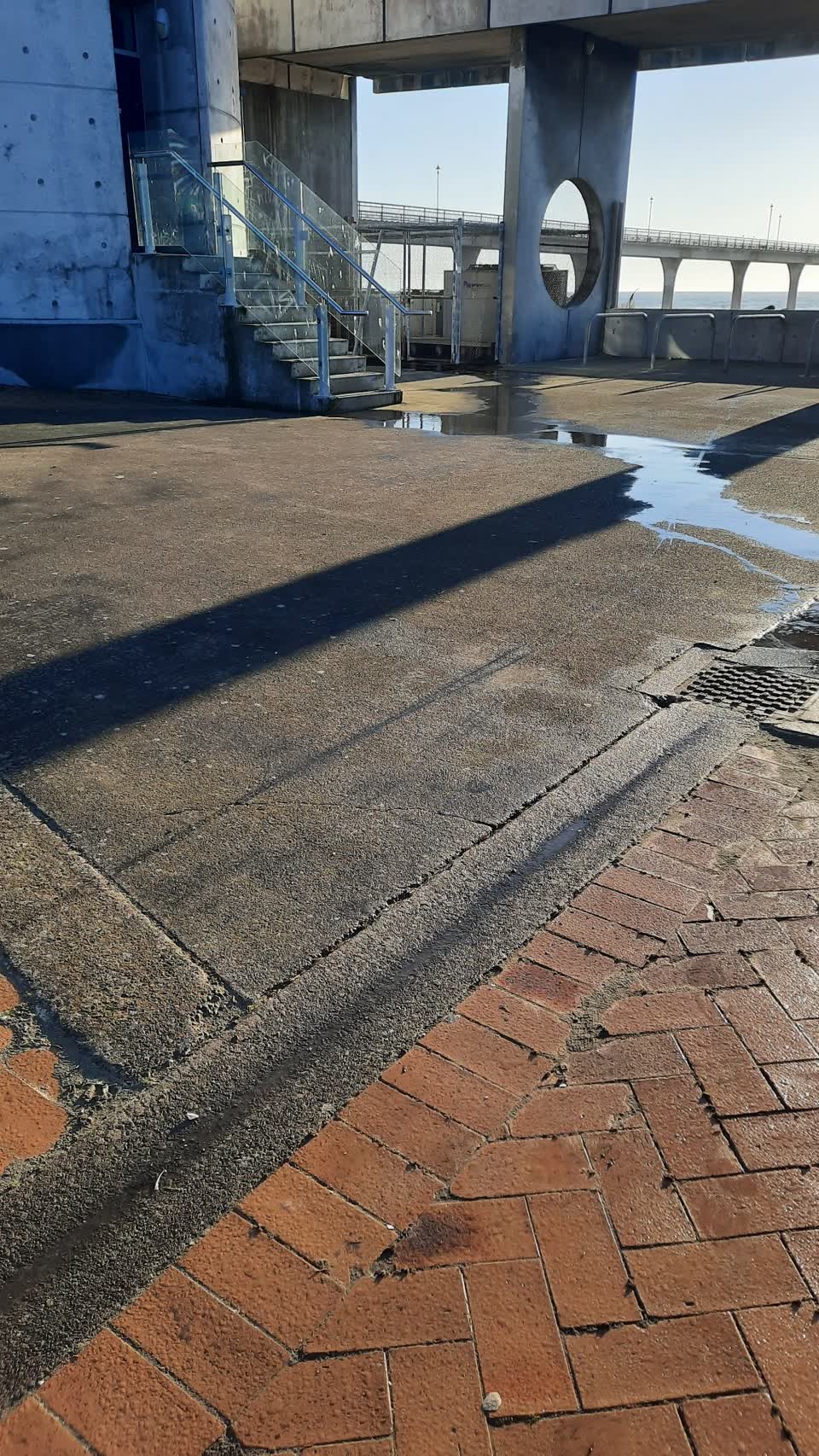 The photograph attached to this parks report